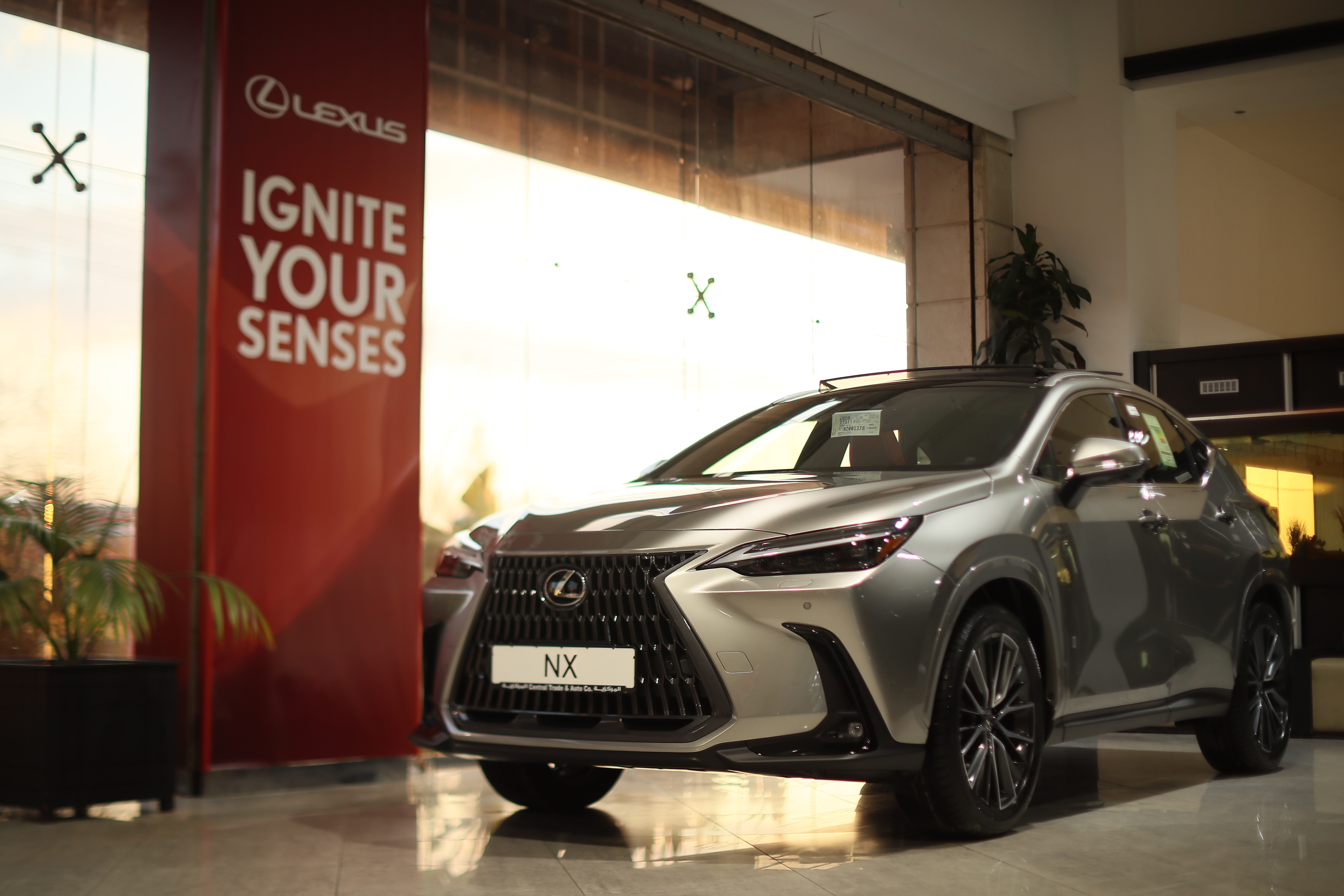 2021 Lexus NX 2021 Lexus NX