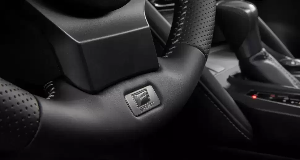IS Vehicle 