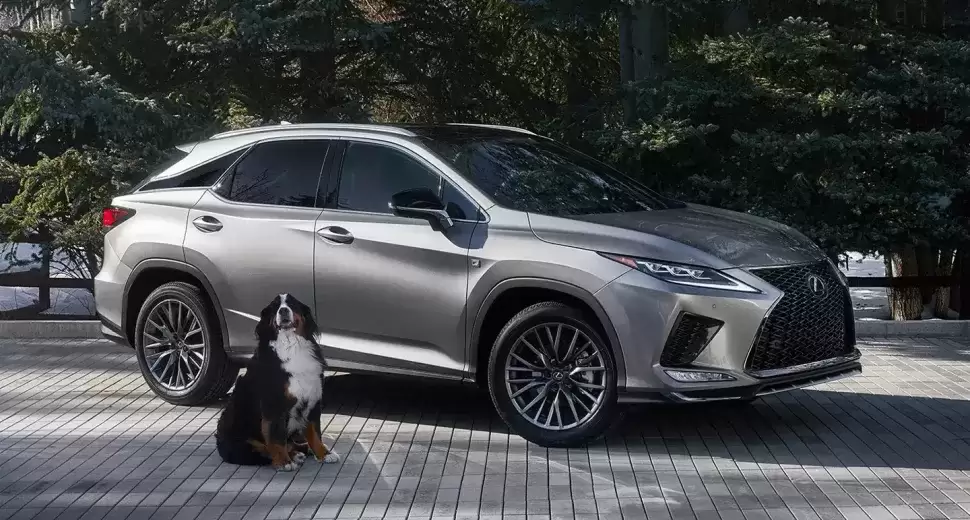 RX Vehicle Silver 